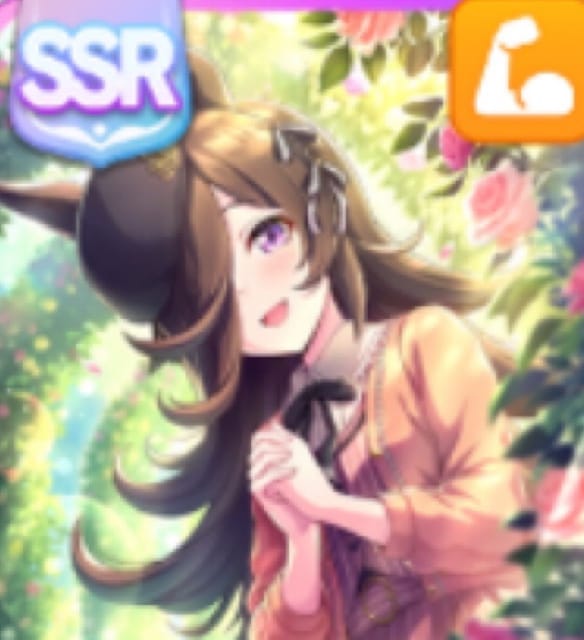 ライスSSR(パワー)