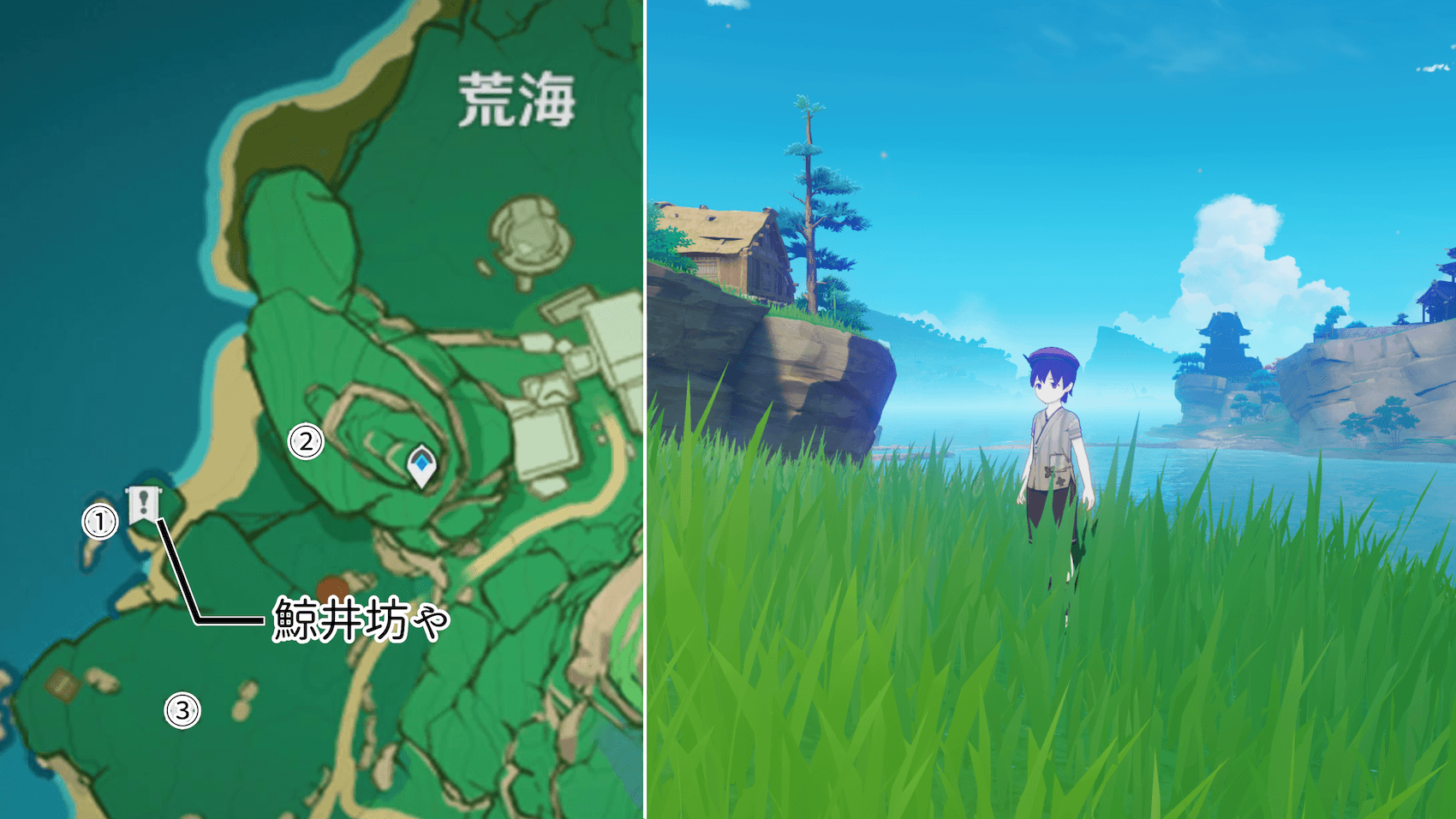 鯨井坊や(荒海)