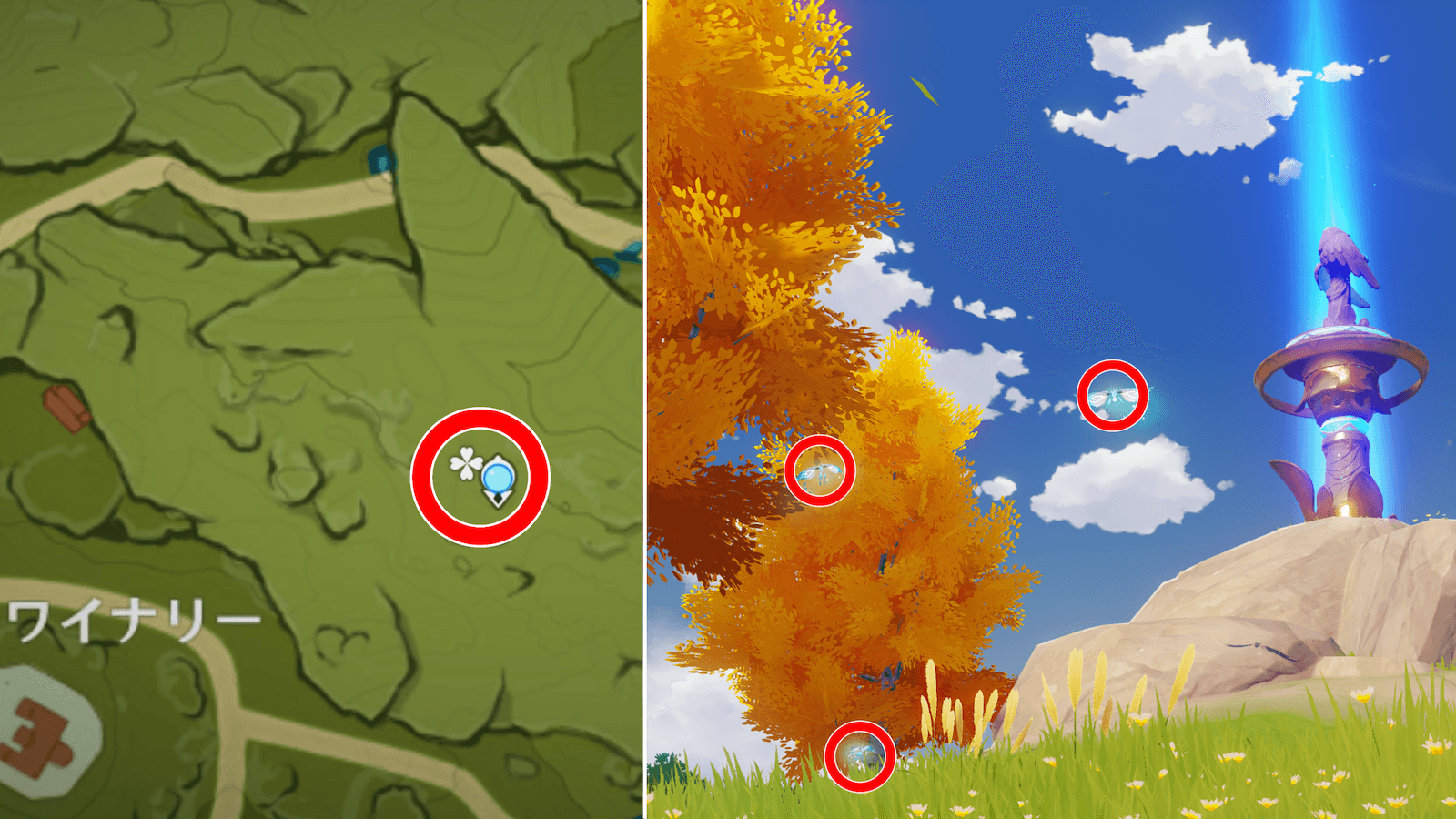 晶核(蒼風の高地)