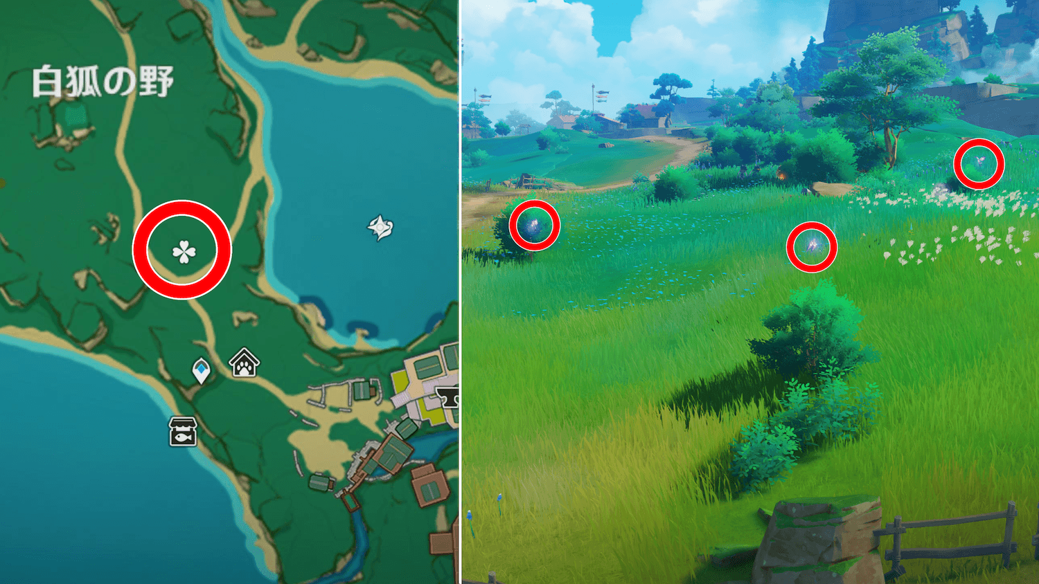 晶核(白狐の野の南)