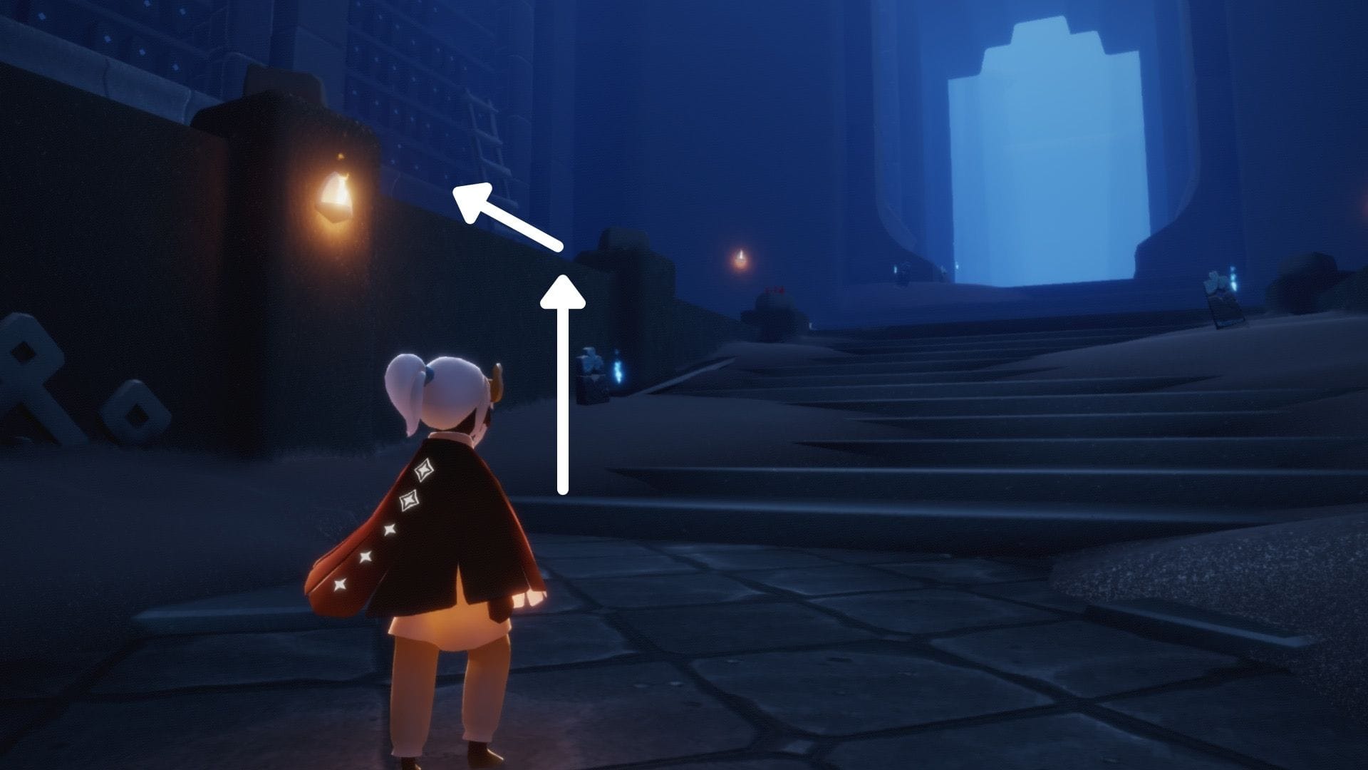 エリアに入ったら、すぐ横の壁を登りましょう。