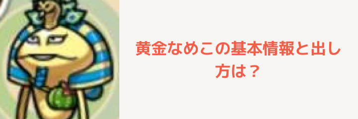 なめこの巣