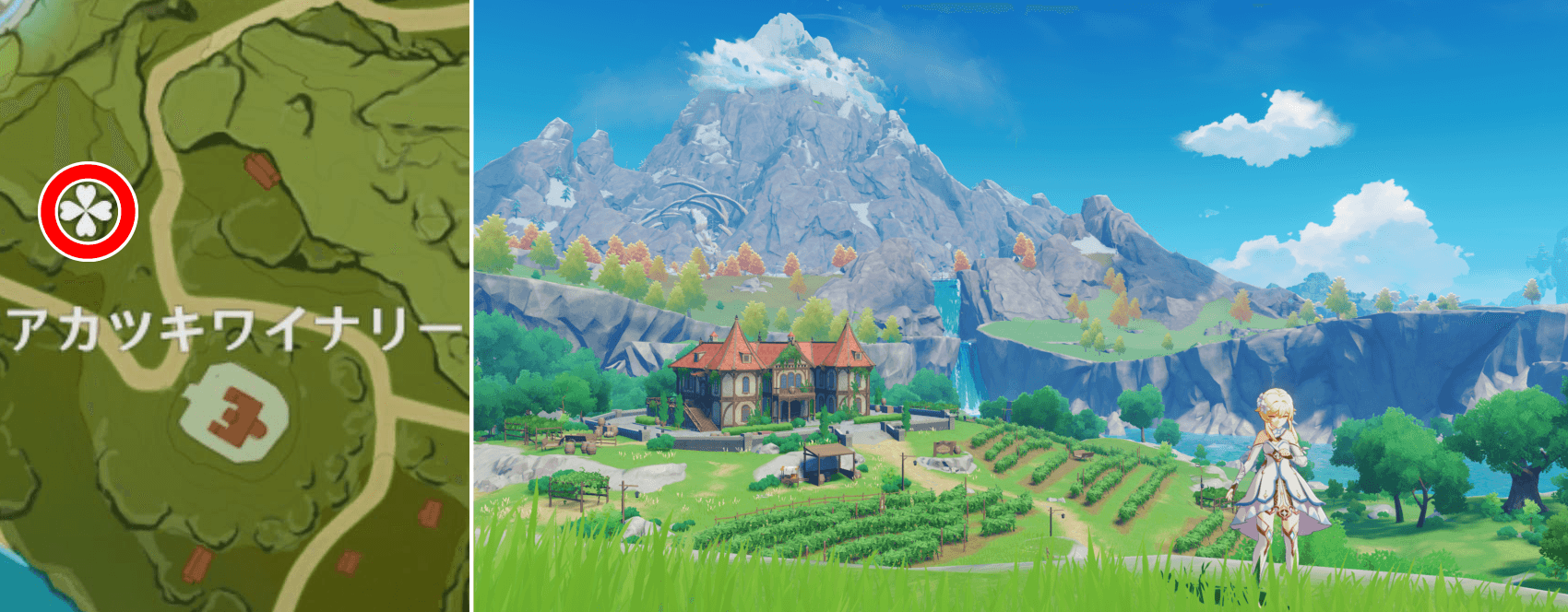 展望ポイント(アカツキワイナリー)