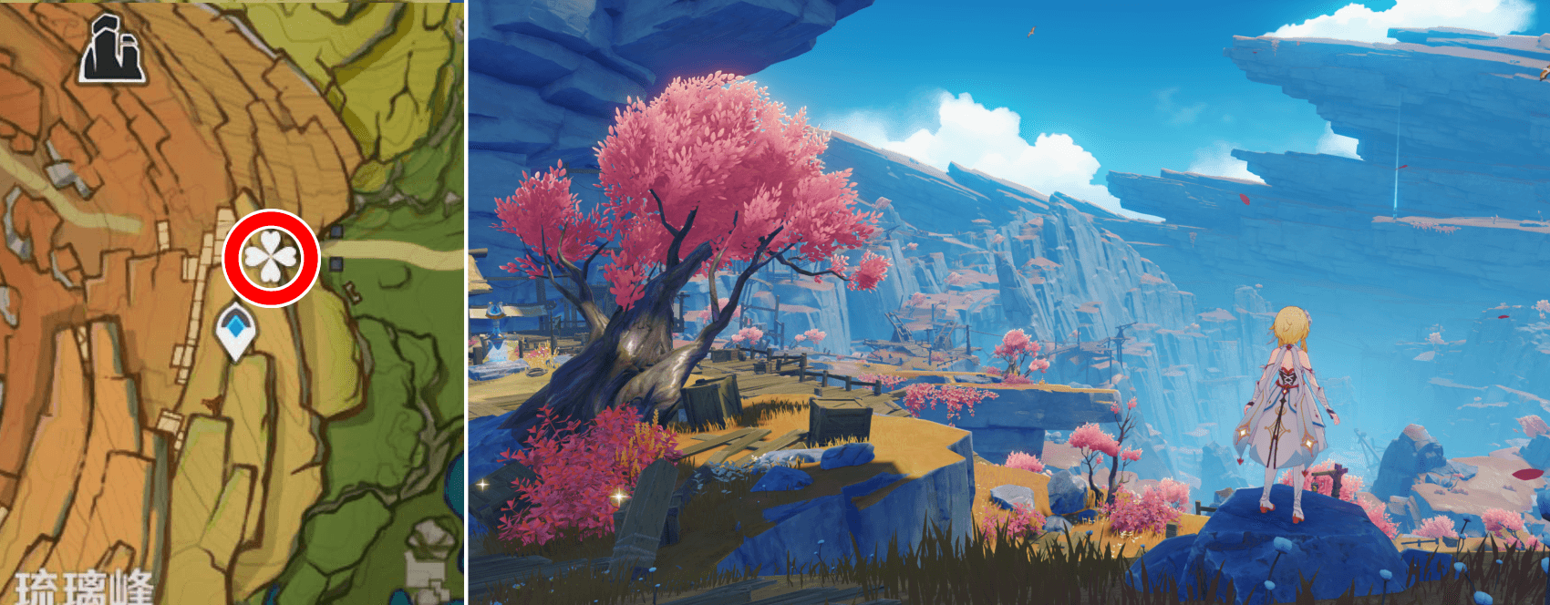 展望ポイント(地上から眺める層岩巨淵)