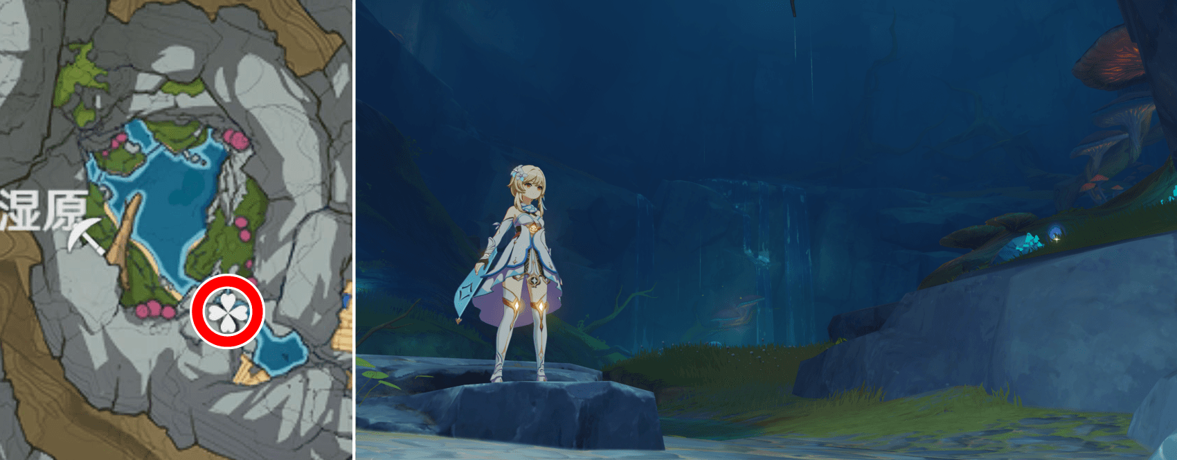 展望ポイント(地下湿原)