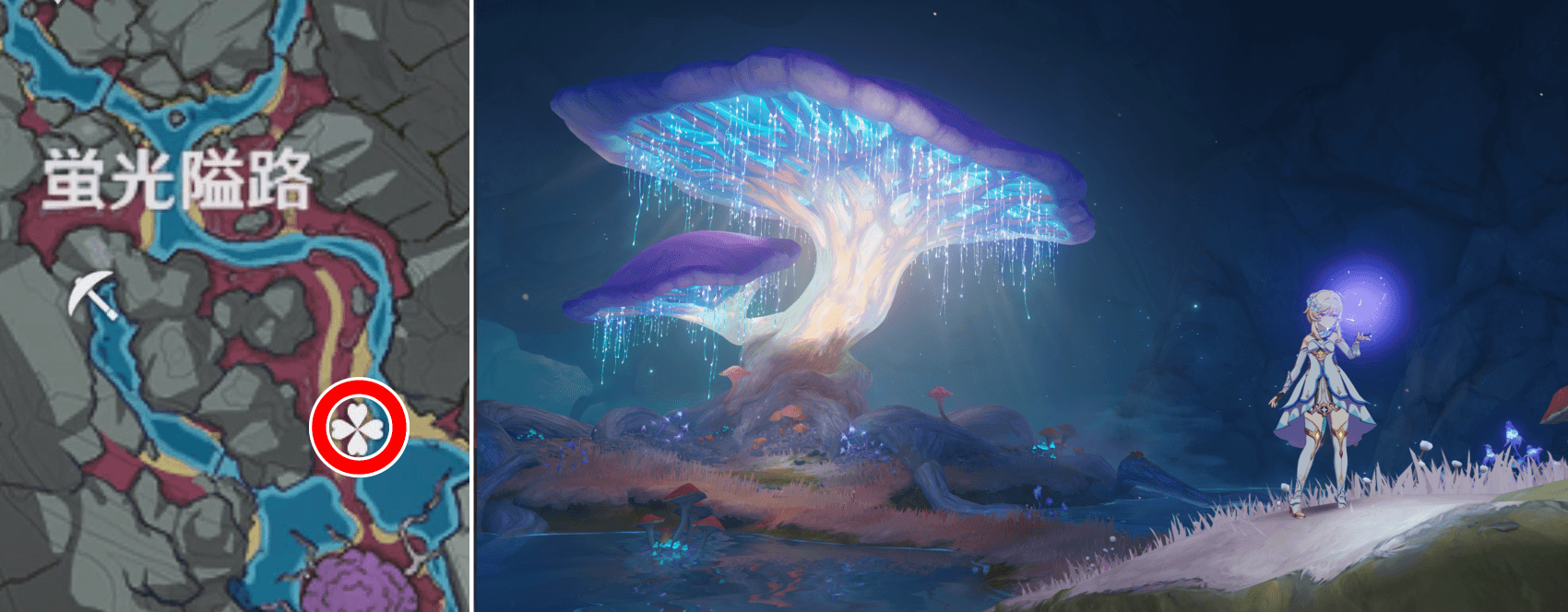 展望ポイント(蛍光隘路)