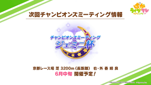 ジェミニ杯概要