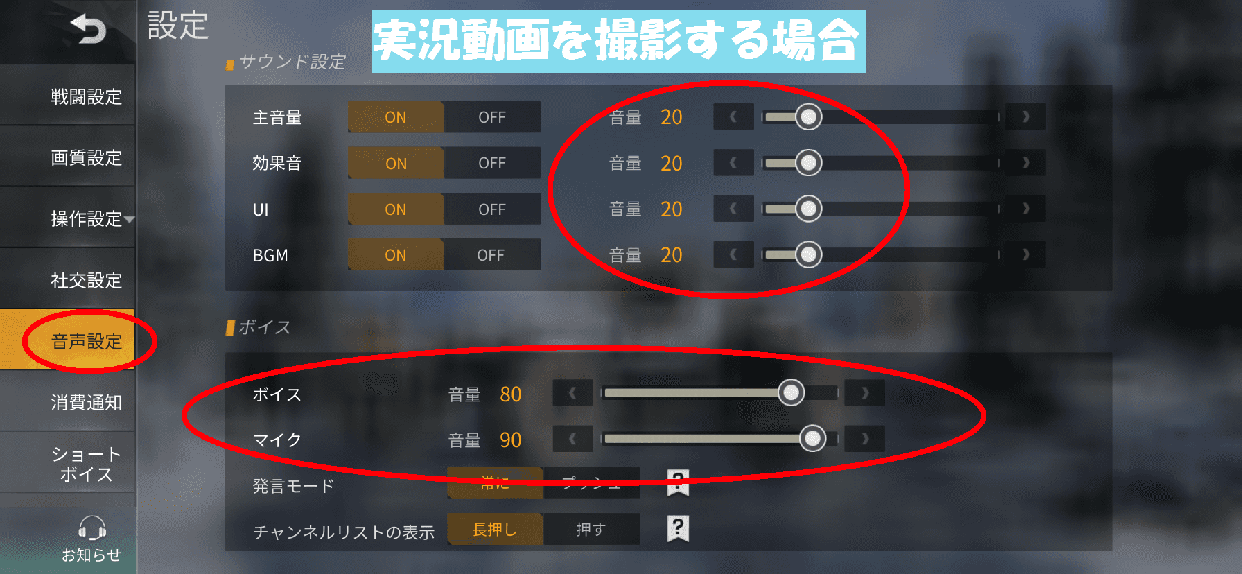 音声設定(実況の場合)