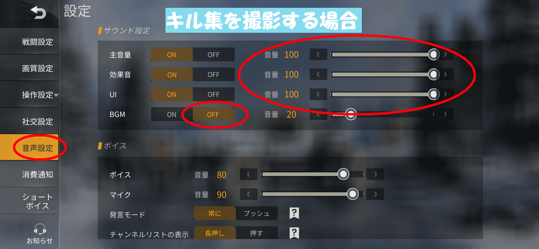 音声設定(キル集の場合)