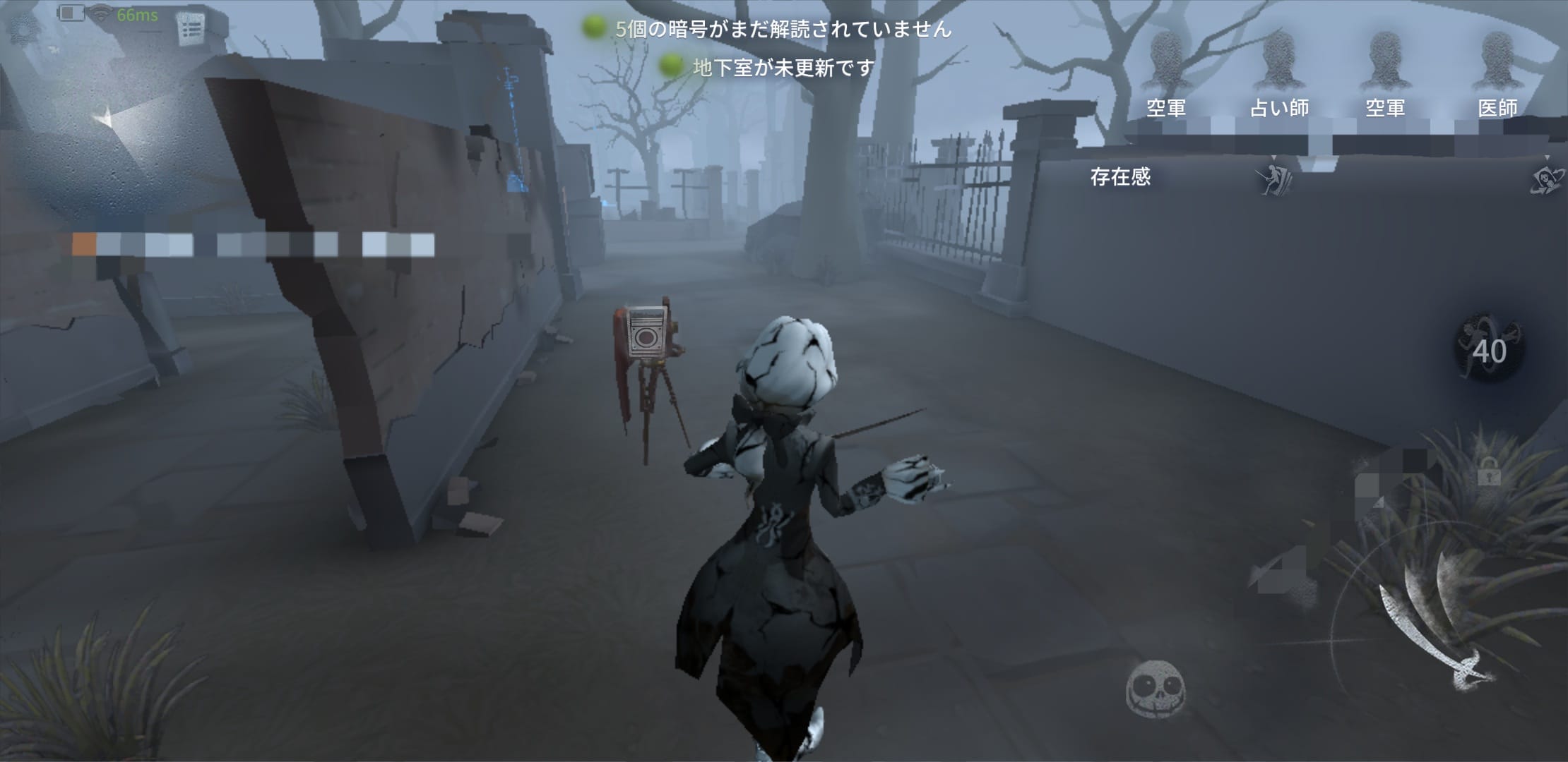 写真撮影