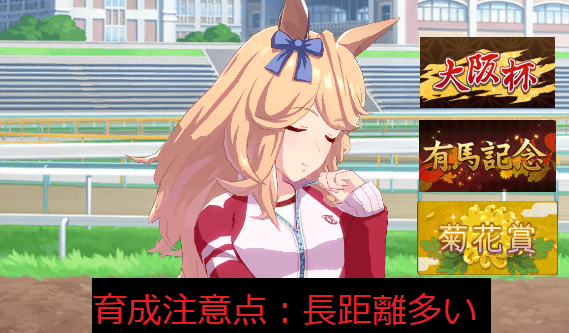 長距離が多いところに注意