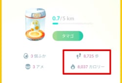 歩数とカロリー