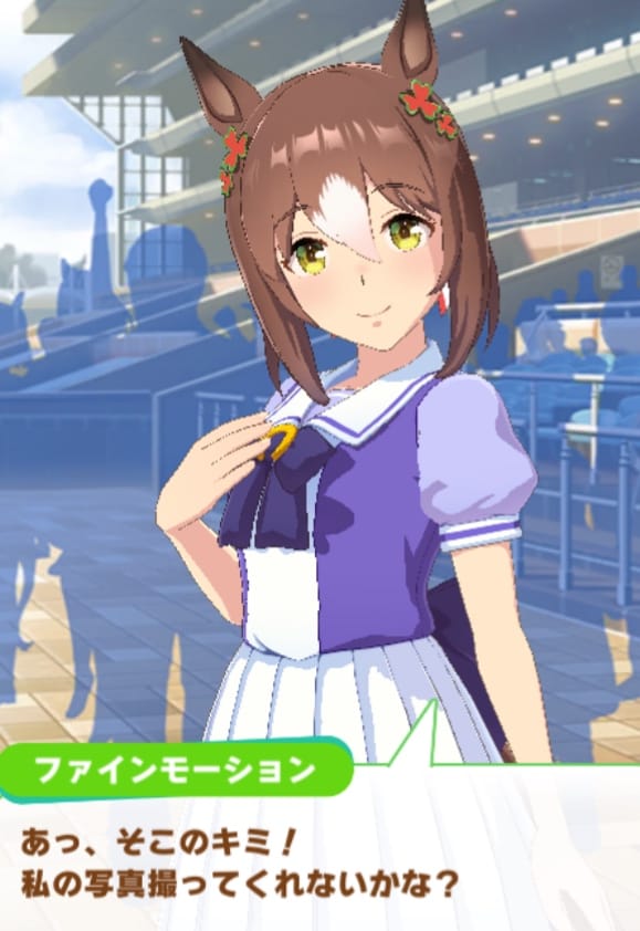 ファインRサポカイベスクショ