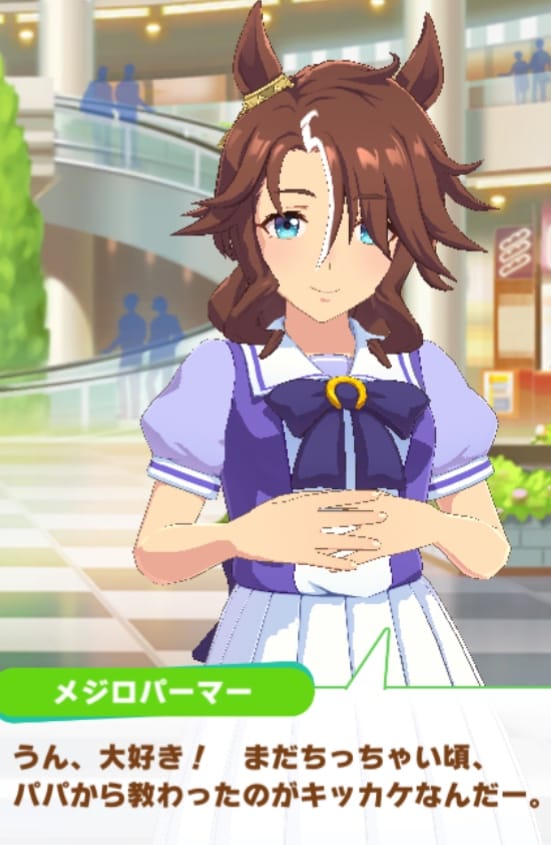 パーマーRサポカイベスクショ