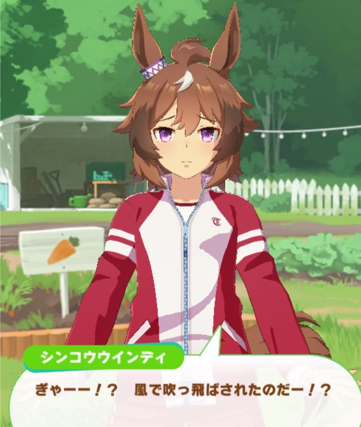 ウインディSRサポカイベスクショ