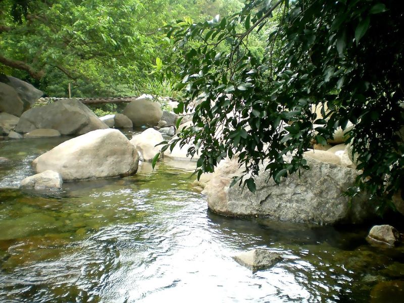 Review Suối Lương Đà Nẵng – Thiên Đường Picnic & Cắm Trại