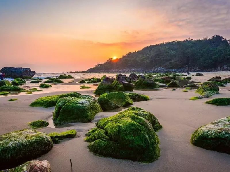 Khu Du Lịch Nam Ô Đà Nẵng – Vẻ Đẹp Hoang Sơ Giữa Biển Trời