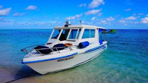 交通工具-快艇_玩轉馬爾地夫