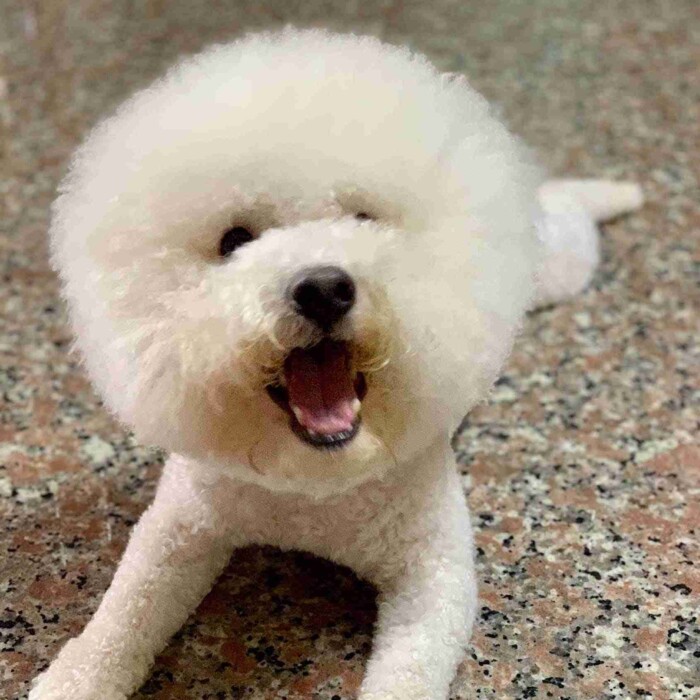劉宜維