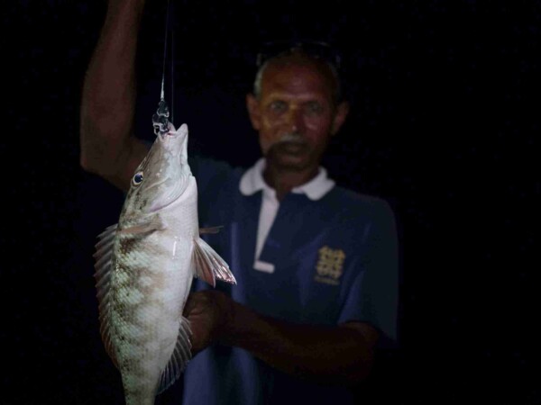 夜釣_蜜月團_馬爾地夫_maldives_3