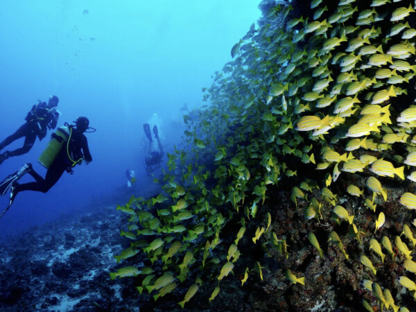 玩轉馬爾地夫＿PlayPlayMaldives＿潛水團活動＿10