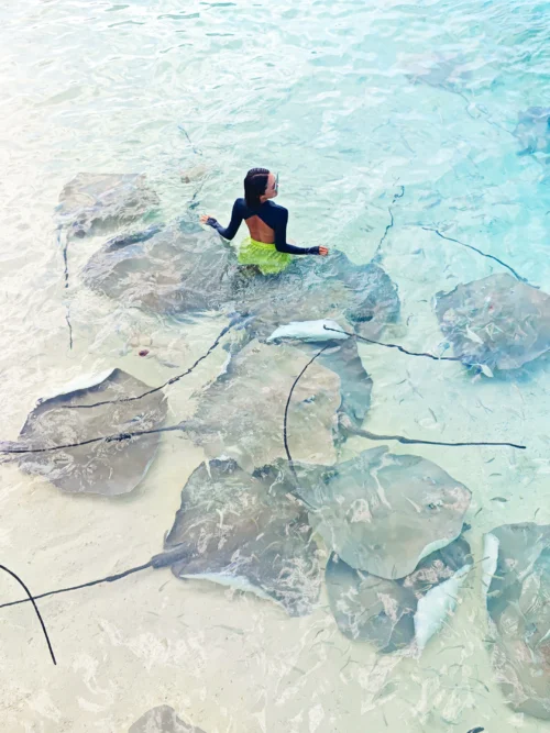玩轉馬爾地夫_自由潛水_Fulidhoo_Stingray_2