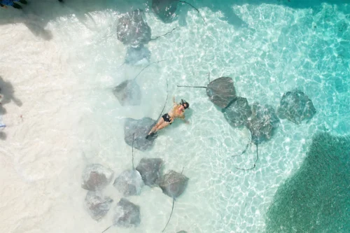 玩轉馬爾地夫_自由潛水_Fulidhoo_Stingray_3