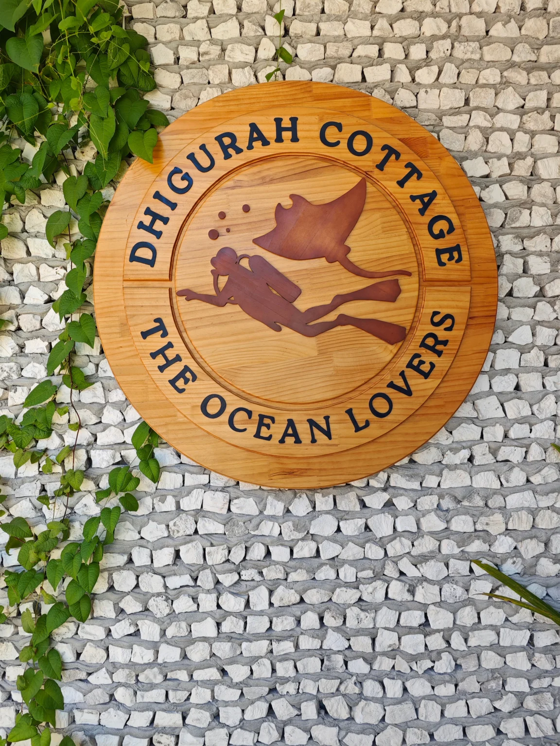 玩轉馬爾地夫_Dhigurah_2