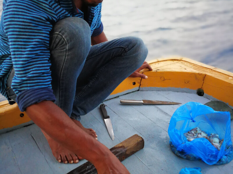 玩轉馬爾地夫_Mahibadhoo_9