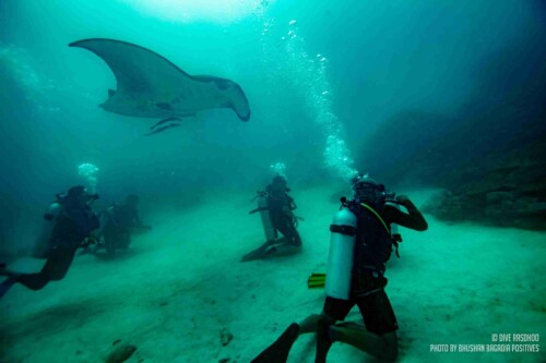 DSD_Rasdhoo_玩轉馬爾地夫9