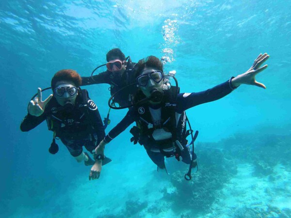 Diving_蜜月團_馬爾地夫_maldives_2.jpg