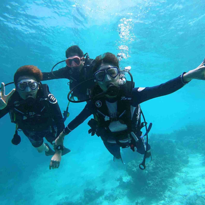 Diving_蜜月團_馬爾地夫_maldives_2.jpg