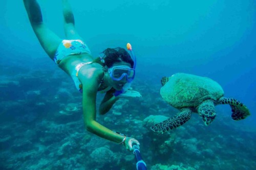 DCIM118GOPROG0024639.