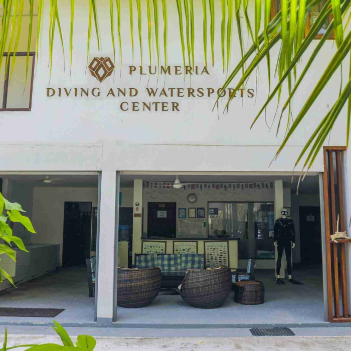 Plumeria_蜜月團_馬爾地夫_maldives_Diving.jpg