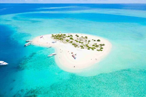 0815超值親子豐盛團