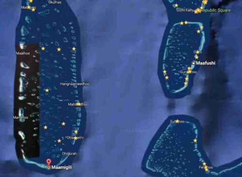 Whale-Shark-Maafushi-玩轉馬爾地夫5