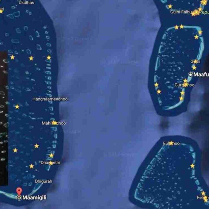 Whale-Shark-Maafushi-玩轉馬爾地夫5