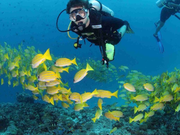 divecenter_Maafushi_玩轉馬爾地夫13