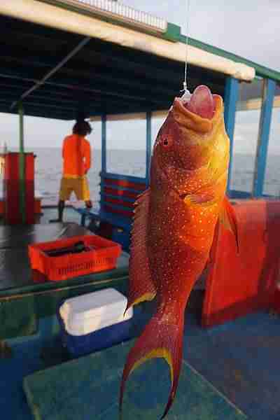 night-fishing-Maafushi-玩轉馬爾地夫9