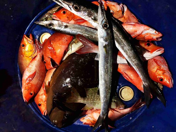 night-fishing_Thinadhoo_玩轉馬爾地夫7