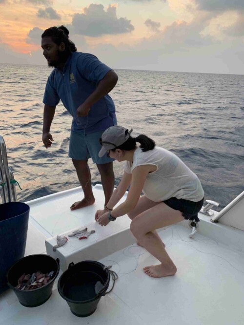 night-fishing_Thinadhoo_玩轉馬爾地夫8