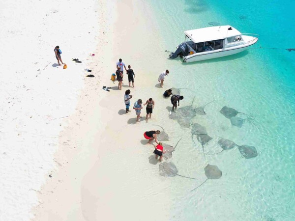 shark-bay-Maafushi-玩轉馬爾地夫12