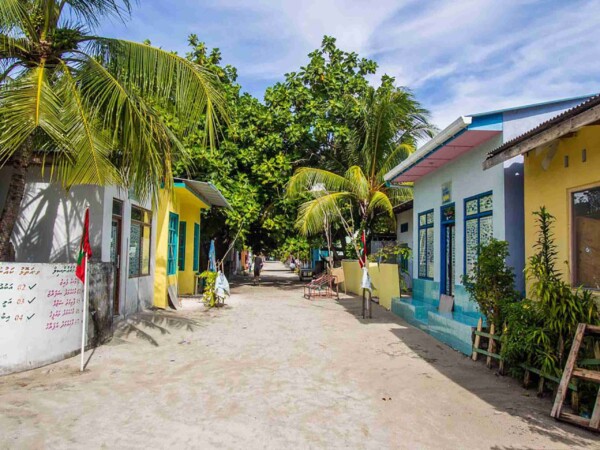 shark-bay-Maafushi-玩轉馬爾地夫17