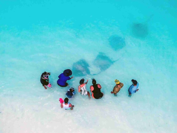 shark-bay-Maafushi-玩轉馬爾地夫4