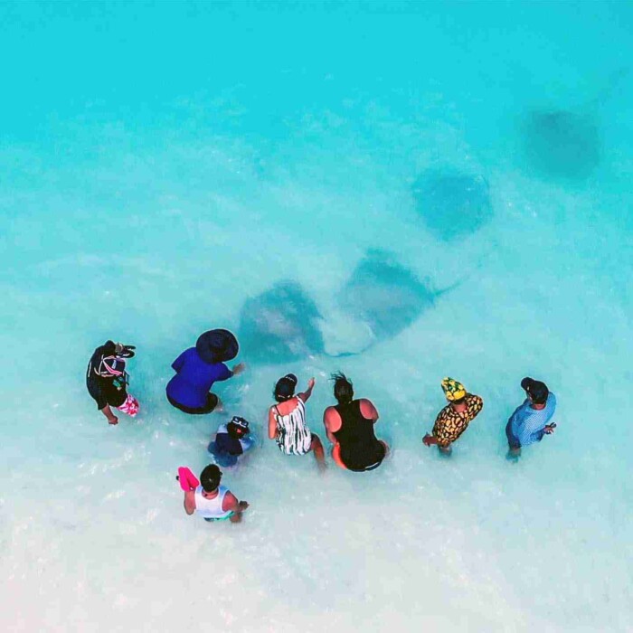 shark-bay-Maafushi-玩轉馬爾地夫4