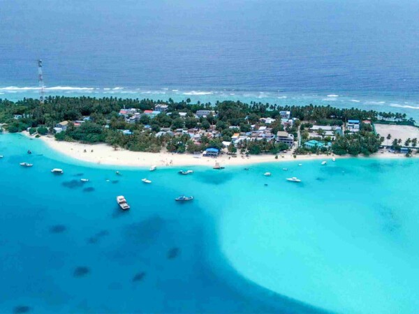 shark-bay-Maafushi-玩轉馬爾地夫5