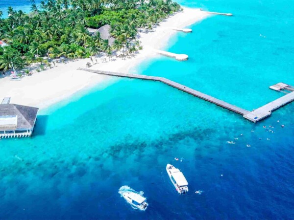 shark-bay-Maafushi-玩轉馬爾地夫6