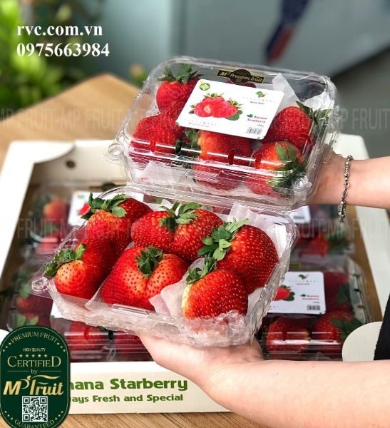 Mẫu hộp nhựa đựng trái cây 500g đáng mua nhất 2023.  Gal_378097_62a2cf06d1c23