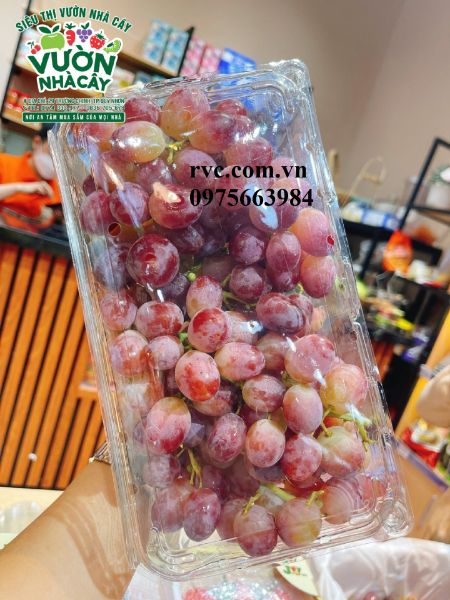 Nhà cung cấp hộp nhựa trái cây 1kg p1000a uy tín, chất lượng, giá sỉ.  Gal_378097_634cd8628f4cb