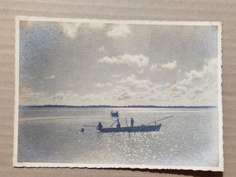 gal_108356_64033ca924029.jpg